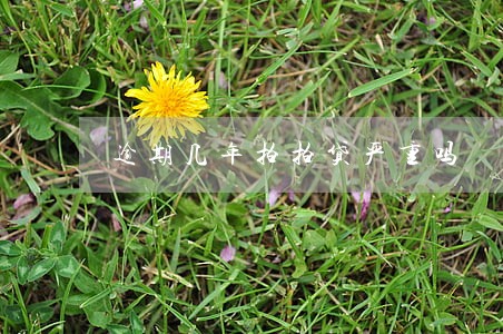 逾期几年拍拍贷严重吗 逾期几年拍拍贷严重吗