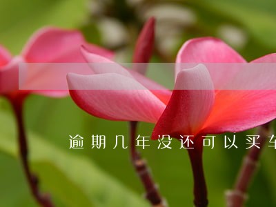 逾期几年没还可以买车吗 逾期几年没还可以买车吗