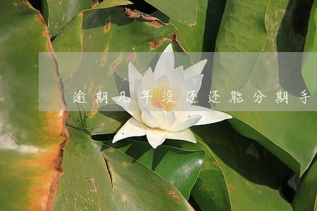 逾期几年没还还能分期手机没 逾期几年没还还能分期手机没