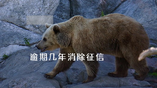 逾期几年消除征信 逾期几年消除征信