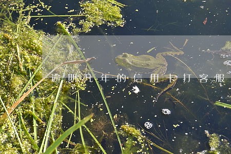 逾期几年的信用卡打客服能查到 逾期几年的信用卡打客服能查到