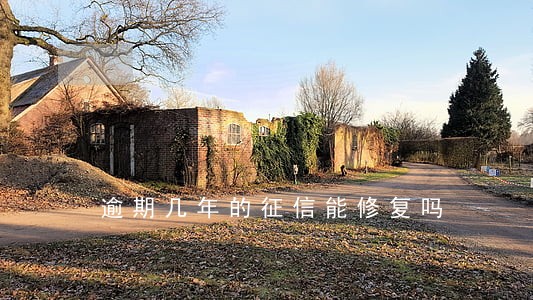 逾期几年的征信能修复吗 逾期几年的征信能修复吗