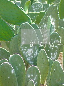 逾期几年的怎么催收