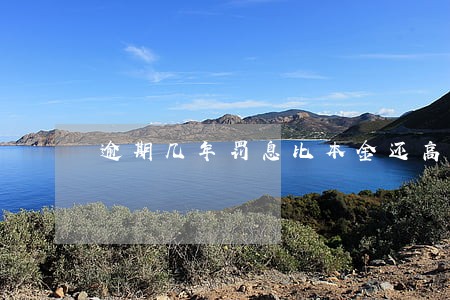 逾期几年罚息比本金还高 逾期几年罚息比本金还高