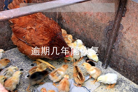 逾期几年能恢复 逾期几年能恢复