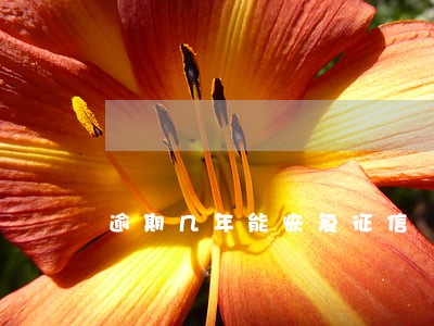 逾期几年能恢复征信 逾期几年能恢复征信
