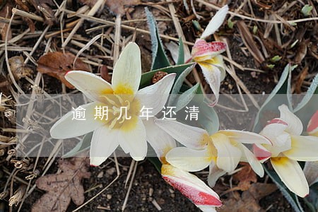 逾期几年还清 逾期几年还清