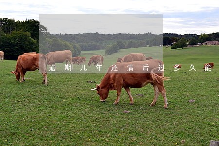 逾期几年还清后过多久能贷款 逾期几年还清后过多久能贷款