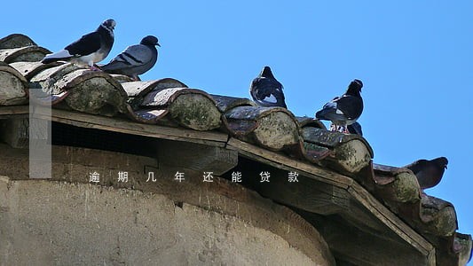 逾期几年还能贷款 逾期几年还能贷款