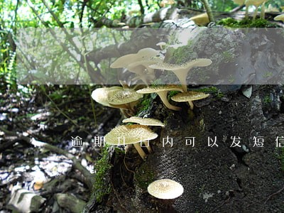 逾期几日内可以发短信 逾期几日内可以发短信