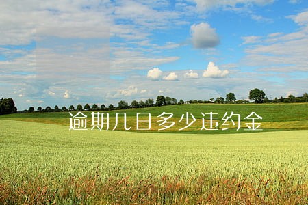 逾期几日多少违约金 逾期几日多少违约金