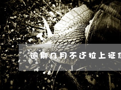 逾期几月不还拉上征信黑名单 逾期几月不还拉上征信黑名单