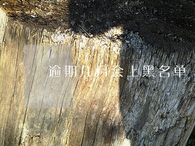 逾期几月会上黑名单