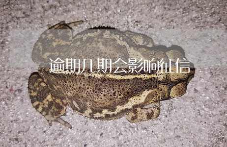 逾期几期会影响征信 逾期几期会影响征信