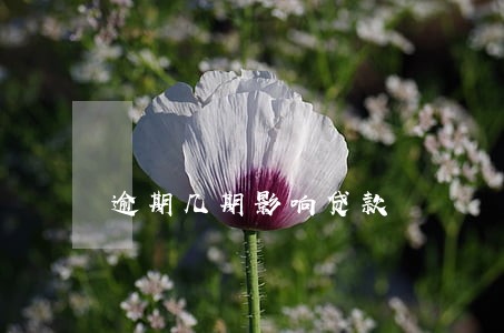 逾期几期影响贷款 逾期几期影响贷款