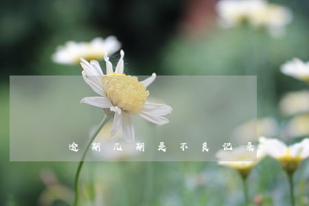 逾期几期是不良记录 逾期几期是不良记录