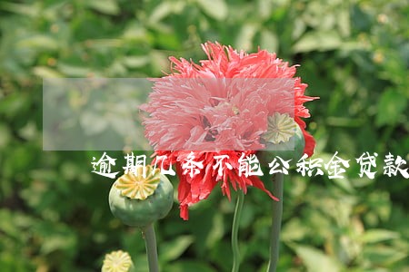 逾期几条不能公积金贷款