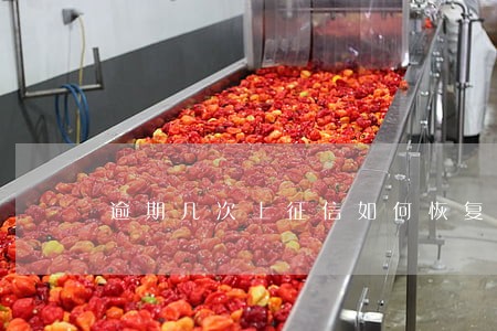 逾期几次上征信如何恢复征信 逾期几次上征信如何恢复征信