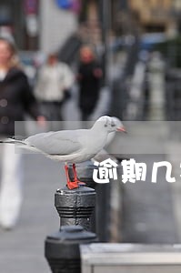 逾期几次不好借款 逾期几次不好借款