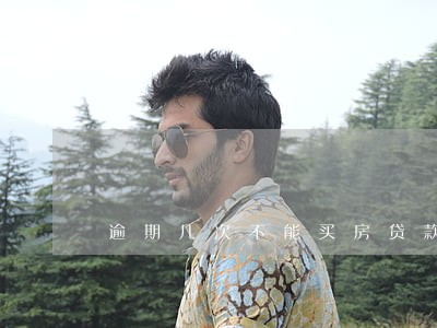 逾期几次不能买房贷款买房