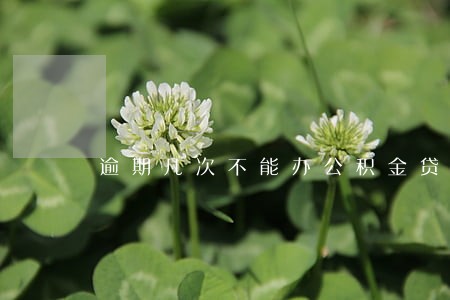 逾期几次不能办公积金贷款吗 逾期几次不能办公积金贷款吗