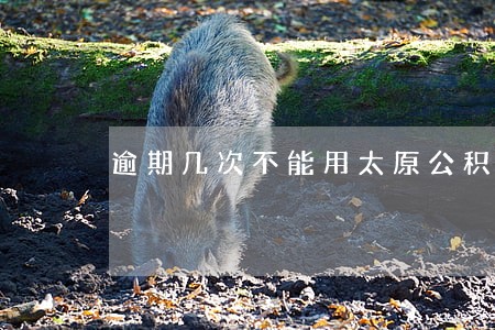 逾期几次不能用太原公积金 逾期几次不能用太原公积金