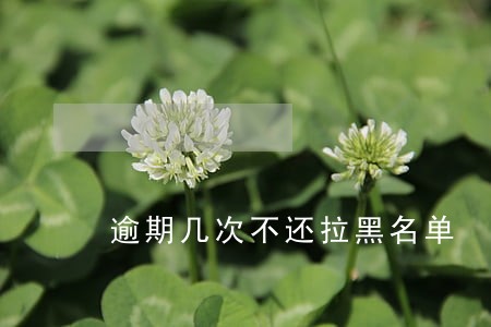 逾期几次不还拉黑名单 逾期几次不还拉黑名单