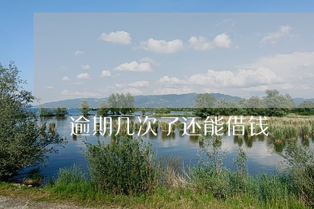 逾期几次了还能借钱 逾期几次了还能借钱