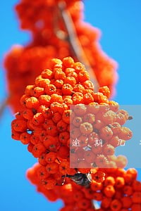 逾期几次会上失信人员 逾期几次会上失信人员