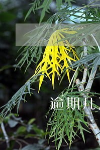 逾期几次会变黑名单 逾期几次会变黑名单