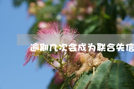 逾期几次会成为联合失信惩戒对象 逾期几次会成为联合失信惩戒对象