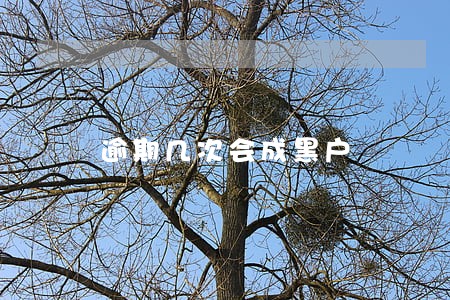 逾期几次会成黑户 逾期几次会成黑户