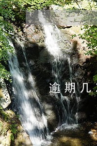 逾期几次会降额信用卡 逾期几次会降额信用卡