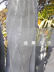 逾期几次会黑户 逾期几次会黑户