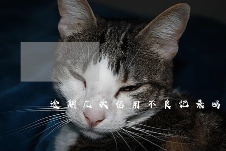逾期几次信用不良记录吗 逾期几次信用不良记录吗