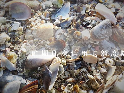 逾期几次信用卡额度降为0 逾期几次信用卡额度降为0