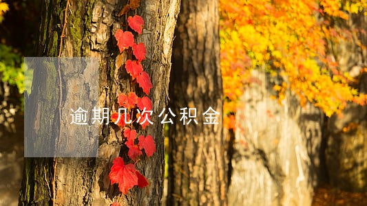 逾期几次公积金 逾期几次公积金