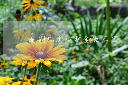 逾期几次公积金做不了 逾期几次公积金做不了