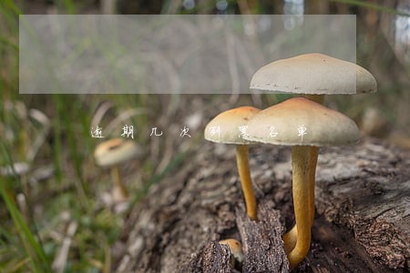 逾期几次列黑名单 逾期几次列黑名单