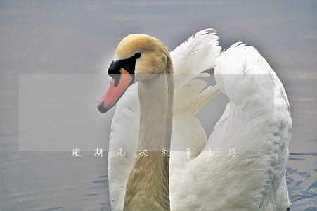 逾期几次利率上浮 逾期几次利率上浮