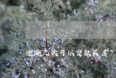 逾期几次可以贷款买房 逾期几次可以贷款买房