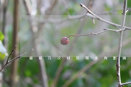 逾期几次对信用卡有影响 逾期几次对信用卡有影响