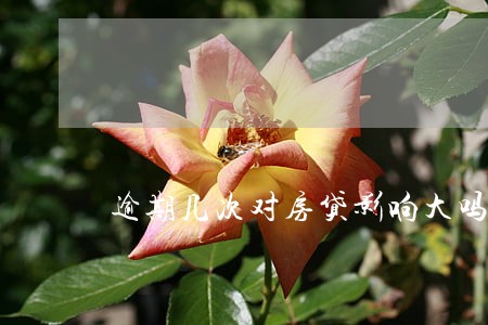 逾期几次对房贷影响大吗 逾期几次对房贷影响大吗