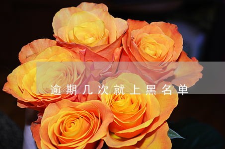 逾期几次就上黑名单 逾期几次就上黑名单