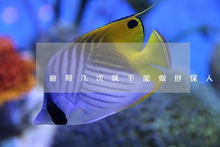 逾期几次就不能做担保人了 逾期几次就不能做担保人了
