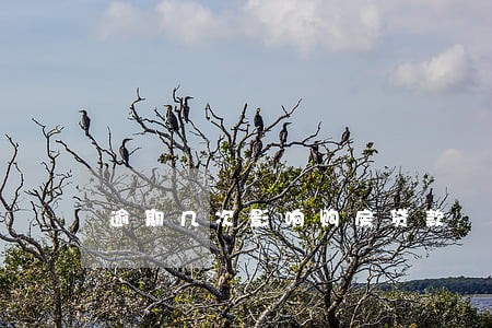 逾期几次影响购房贷款 逾期几次影响购房贷款