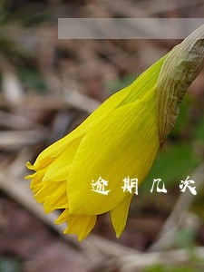 逾期几次征信会上黑名单 逾期几次征信会上黑名单