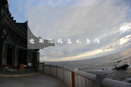 逾期几次怎么查询 逾期几次怎么查询