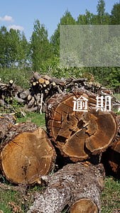 逾期几次成为失信人员 逾期几次成为失信人员
