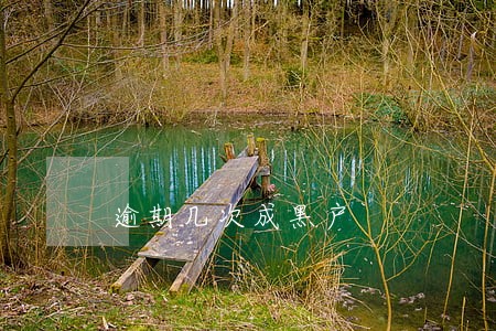 逾期几次成黑户 逾期几次成黑户
